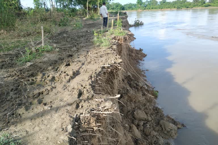 Erosion of Burhi dihing river in Dibrugarh assam etv bharat news
