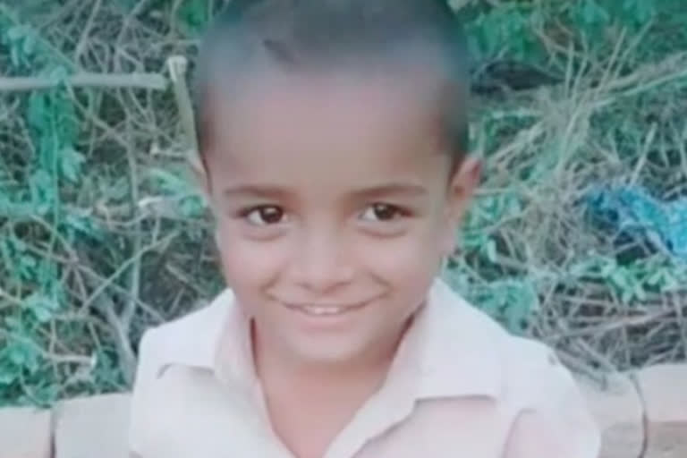 मधुमक्खी के काटने से बच्चे की मौत,  Child dies due to bee bite