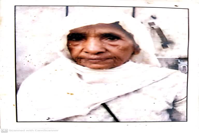 stray dogs maul Old lady to death in mansa