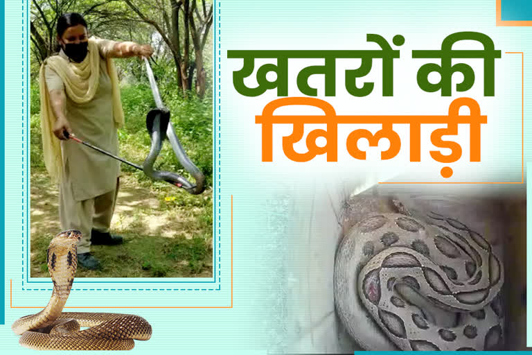 Women forest workers rescue snakes