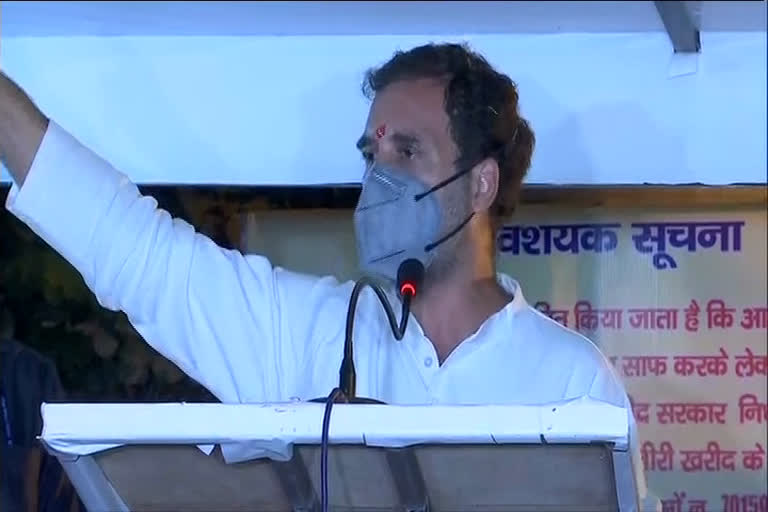 rahul gandhi said pm modi is Coward in kheti bachao yatra of kurukshetra haryana