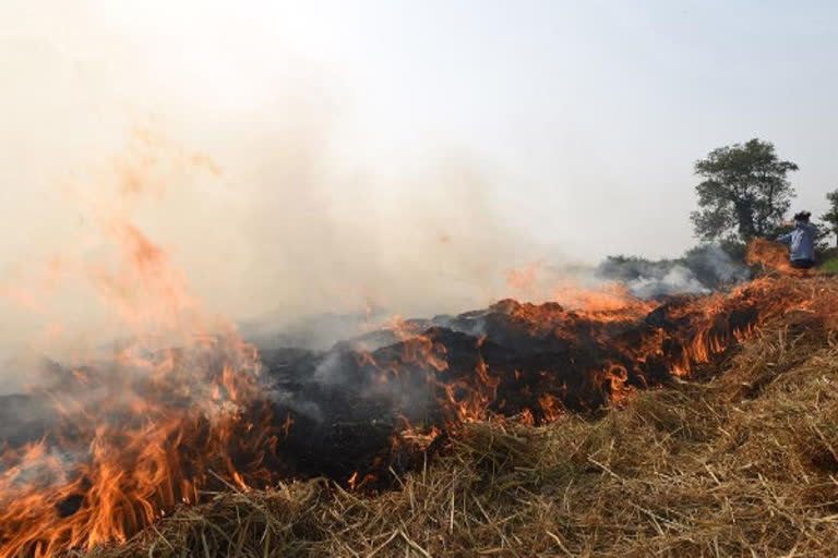 hisar stubble management planning