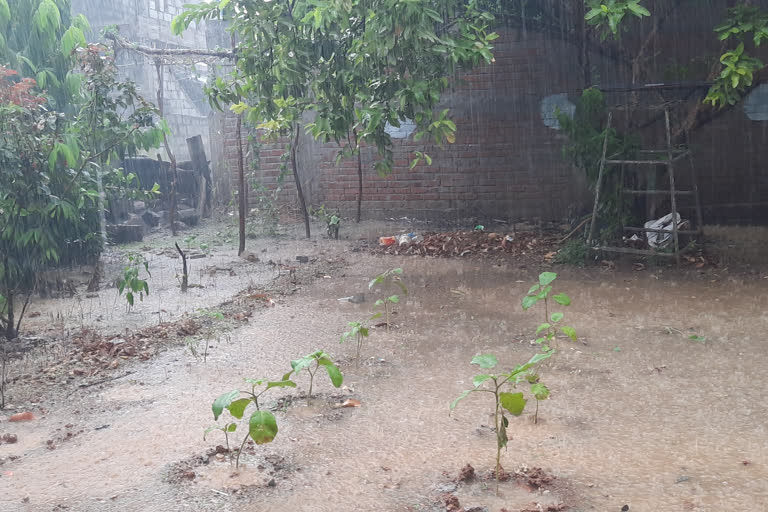 rainfall on guntur district