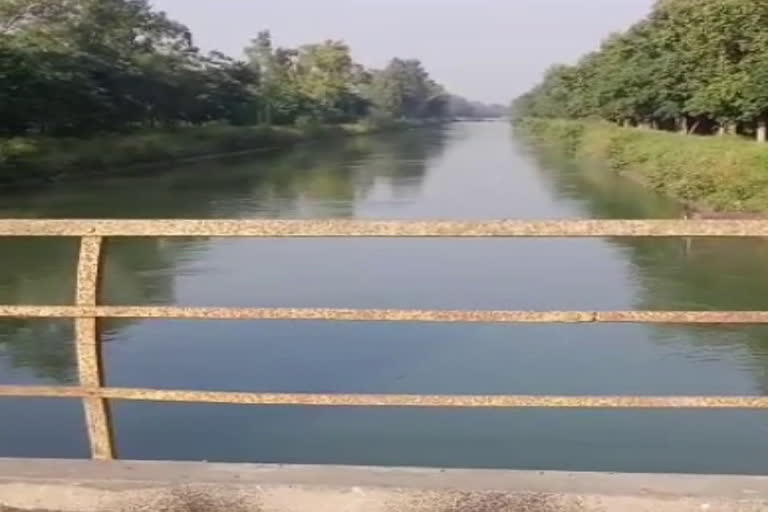 youth commits suicide by jumping in canal in yamunanagar