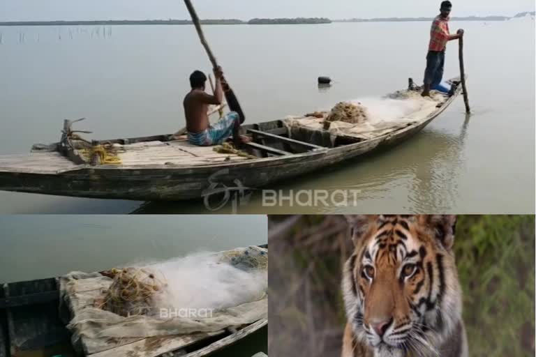 SPECIAL STORY ON WEST BENGAL FISHERMENS