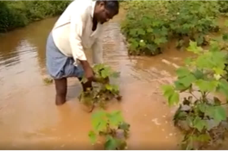 over-floating-of-pantakaluva-at-madhira-in-khammam-district