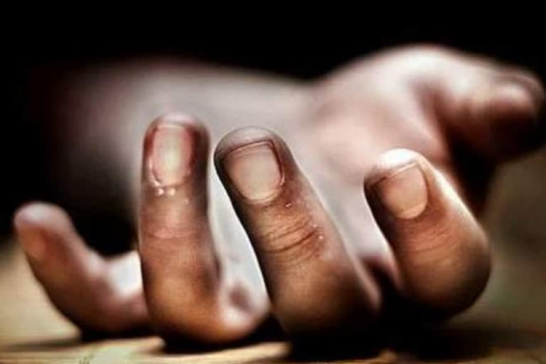 woman murdered in amroha