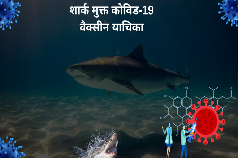 COVID-19, Shark-free COVID-19 vaccine