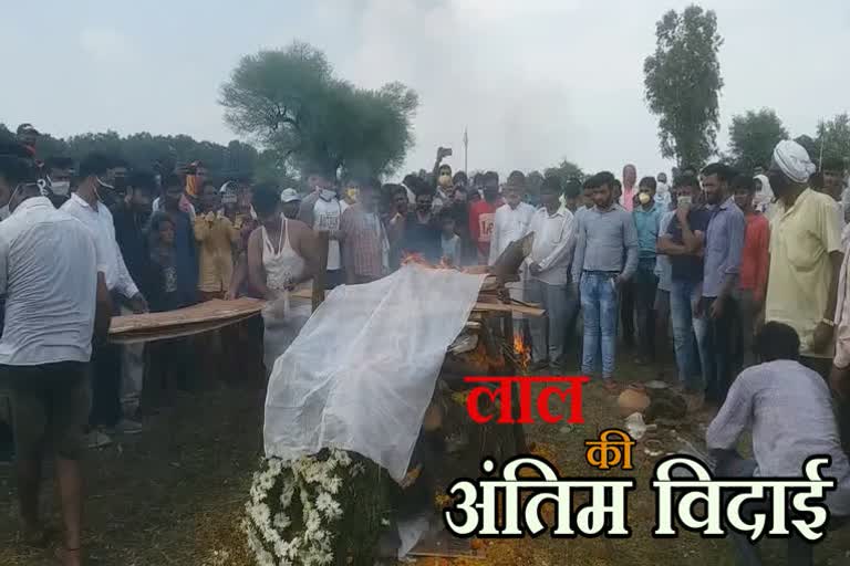 martyr virendra tripathi cremated in satna