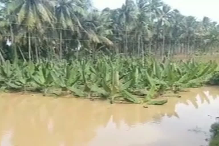 no compensation for flooded crops at east godavari