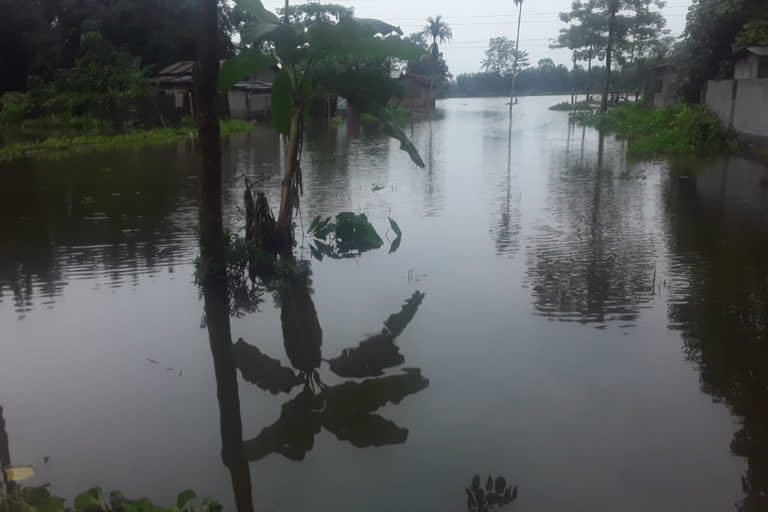 flood situations at rangapara ,sonitpur