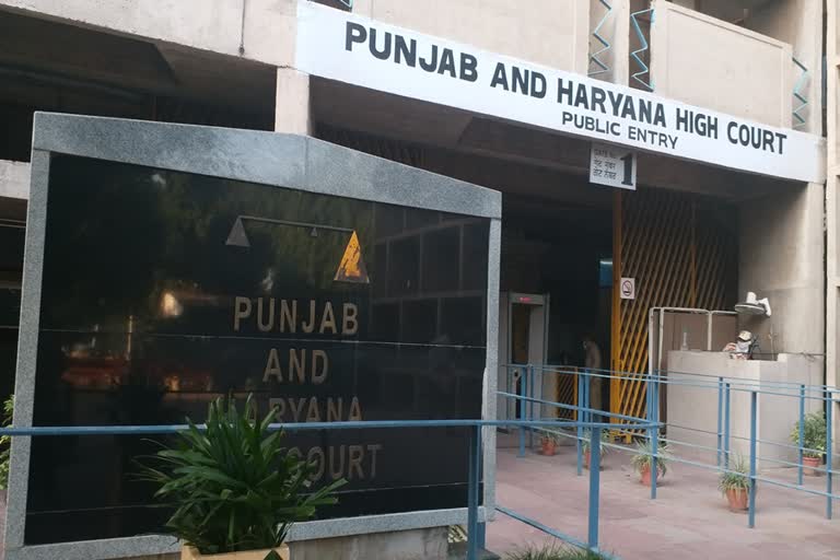 punjab and haryana high court has clarified there will be no hearing in courts