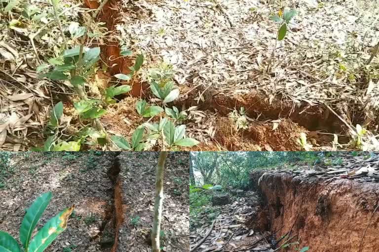 land  soil  Madhur Chenakode The land is split  മധൂർ ചേനക്കോട്  പദാർത്ഥ  കാസർകോട്