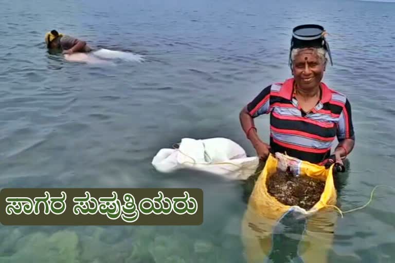 Sea weed collectors Of tamilnadu