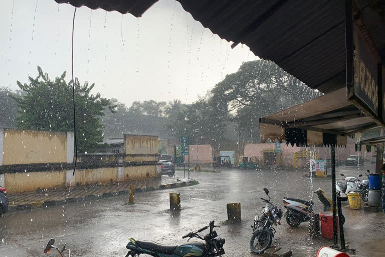 Heavy Rain Fall in Mysore