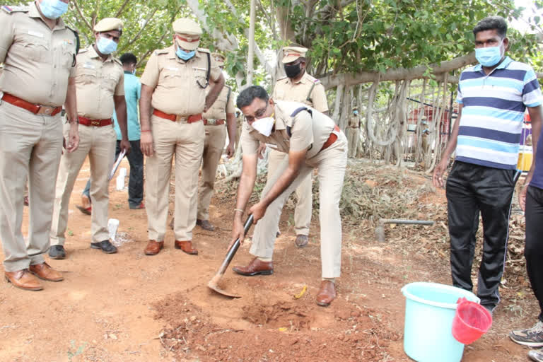 பனை விதைகள் நடும் விழா