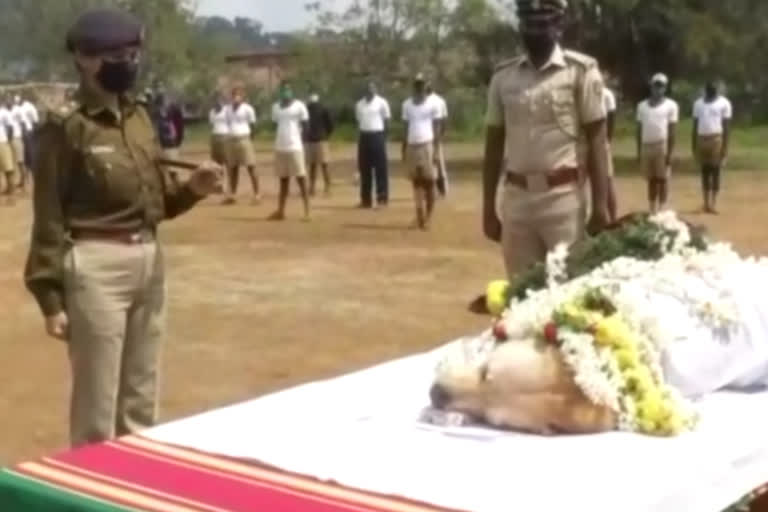 Police Department dog died in Kodagu