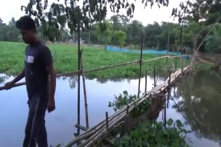 Haringhata bridge in bad condition