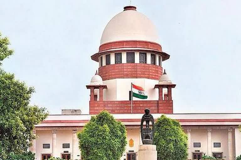 Supreme Court on body election, Supreme Court order