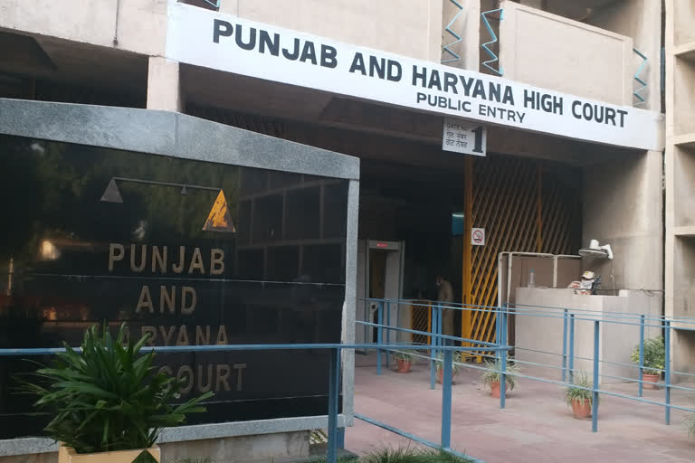 punjab haryana court