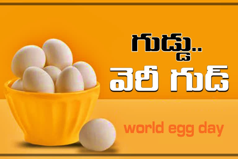 special story on world egg day 2020