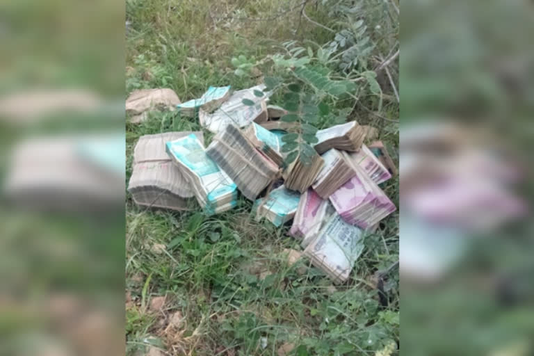 36 lakhs Money found in a farm!