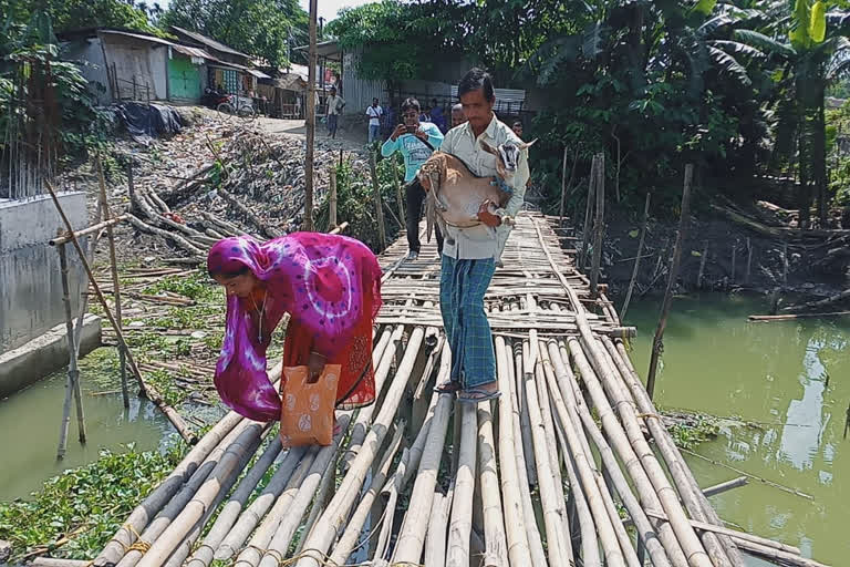 corruption  bridge construction at jonia