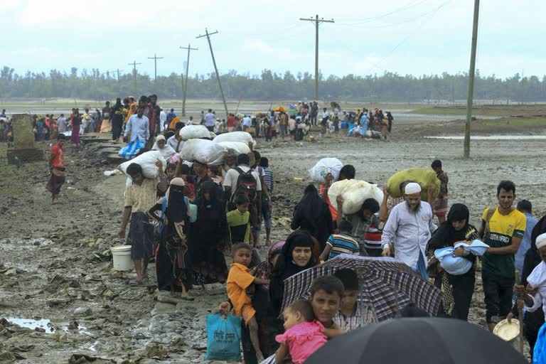 Rohingya