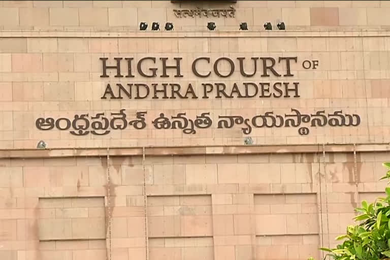 ap high court on local body elections