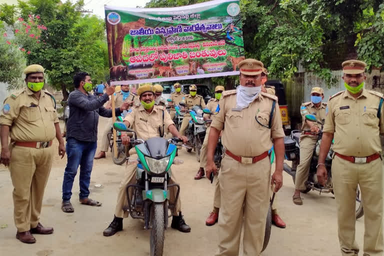 'అడవుల పెంపకంతోనే వన్యప్రాణుల సంరక్షణ'