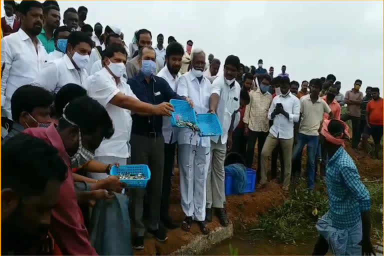 miryalaguda mla and collector released fishes to aalagadapa lake
