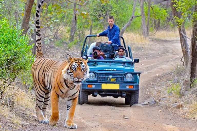 Corbett National Park