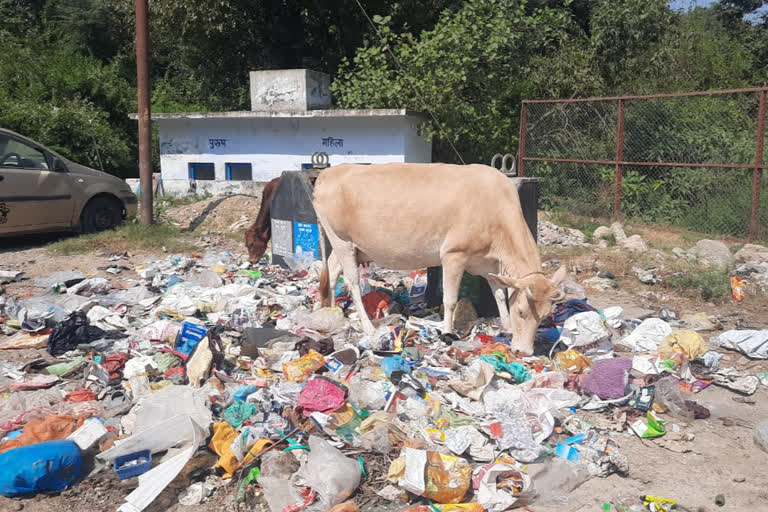 garbage problem in sundernagar