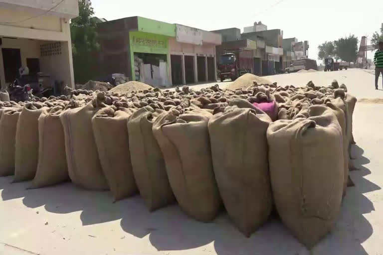 farmers facing problem in rohtak grain market