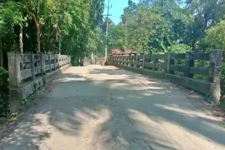 Nalbari model village not getting of Govt schemes