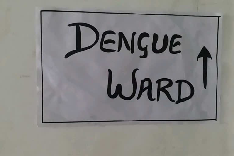 dengu