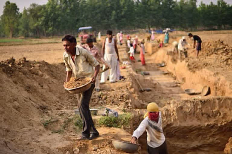 रोजगार की स्थिति जानने के लिये श्रम ब्यूरो करेगा तीन सर्वेक्षण