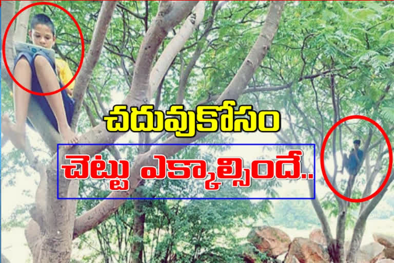 పల్లెలో పాఠాలకు.. చెట్లే దిక్కాయె!