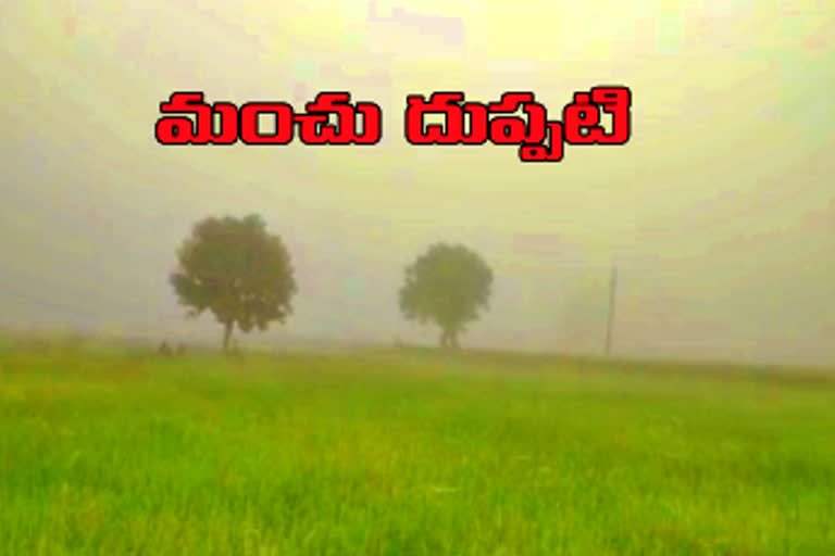 nizamabad farmers are in tension due to climate changes