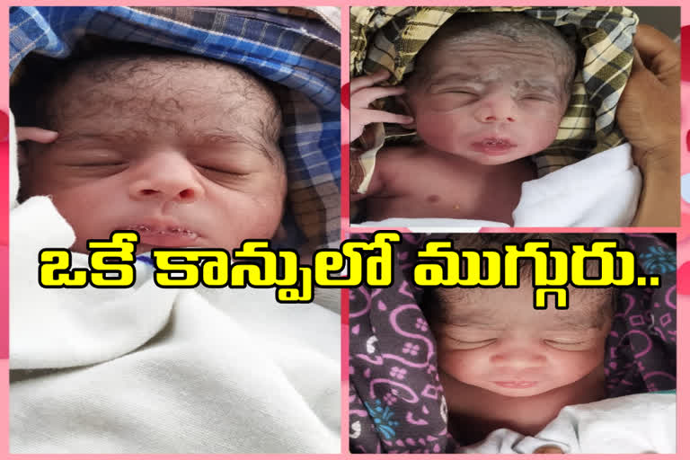 three babies born in one weaning in nirmal district