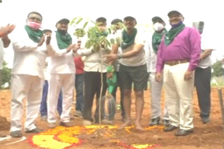 Singareni director planted trees as part of the Green India Challenge in manchirial district