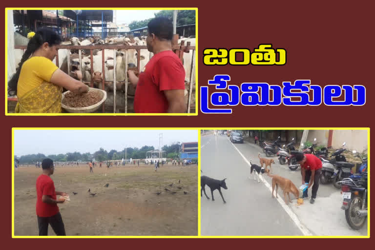 special story on animal lovers in Kurnool district