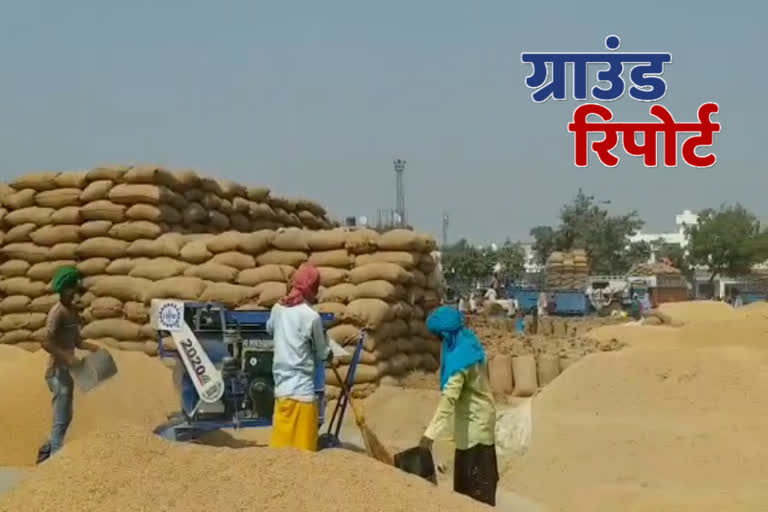 farmers facing problems in karnal grain market