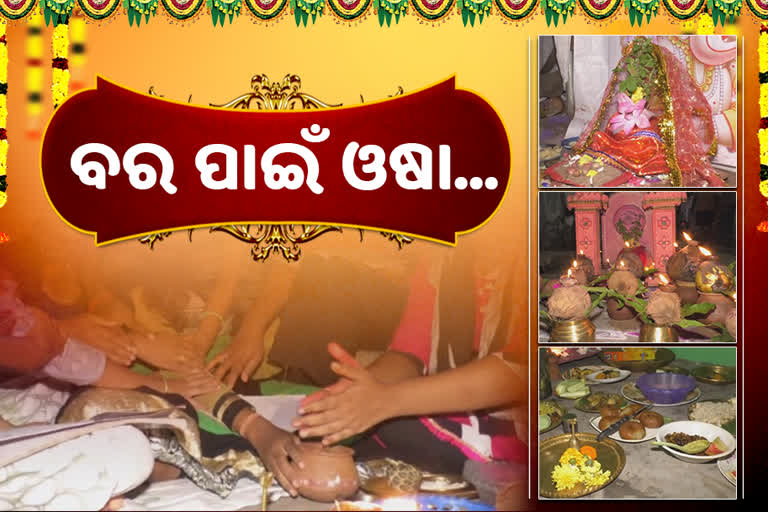 ଭଲବର ପାଇଁ କୁଆଁରୀ କରିଥାନ୍ତି ଜହ୍ନି ଓଷା