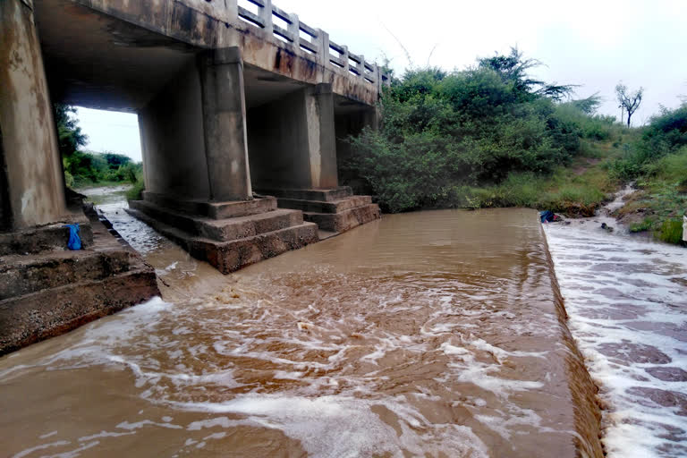 Kushtagi: Farmers happy by the rain in taluk