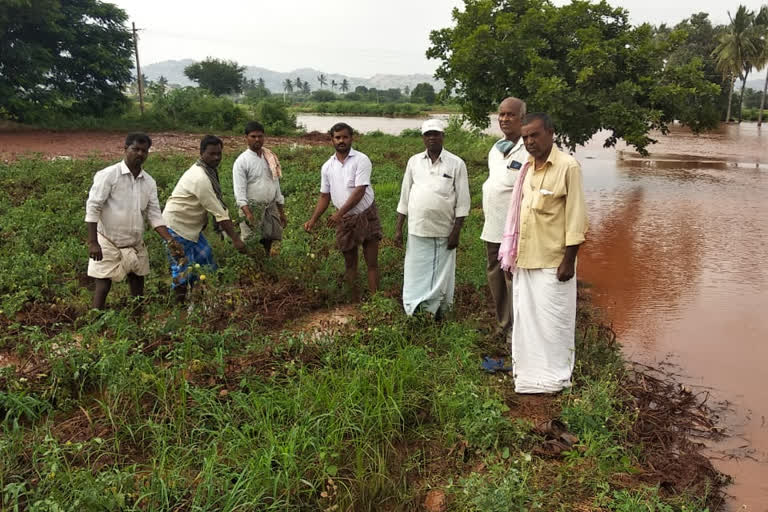 ಬಳ್ಳಾರಿ ಜಿಲ್ಲೆಯಲ್ಲಿ ಮಳೆ