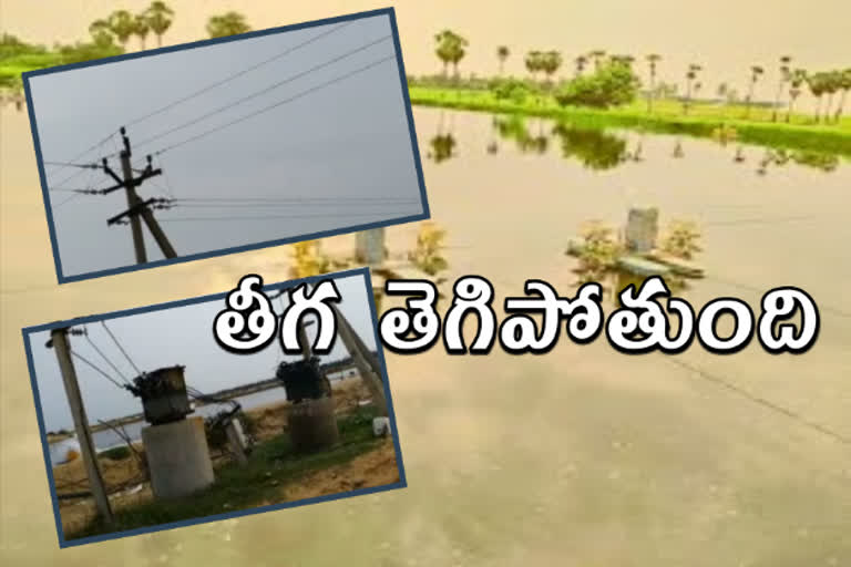 రొయ్య రైతుకు...కరెంటు కష్టం