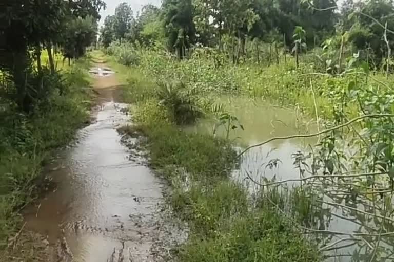 Damage to crops due to water of paralcot reservoir