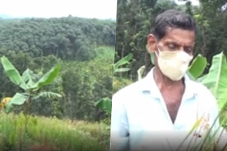 This Kerala farmer makes a paddy field atop a hill