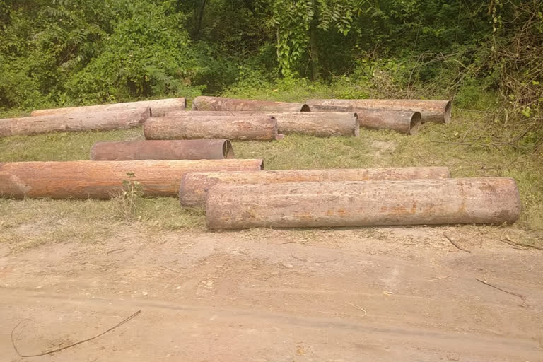 28-meter-theft-pipe-recovered-from-the-satpura-plant-table-betul